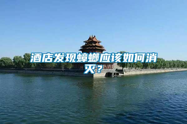 酒店發現蟑螂應該如何消滅？