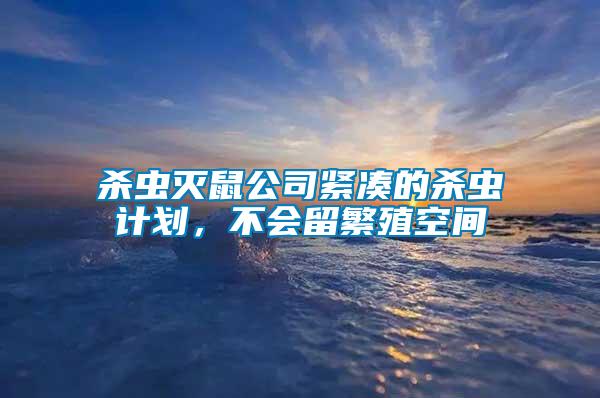 殺蟲滅鼠公司緊湊的殺蟲計劃，不會留繁殖空間