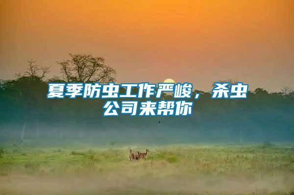 夏季防蟲工作嚴峻,殺蟲公司來幫你