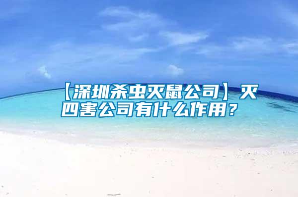 【深圳殺蟲滅鼠公司】滅四害公司有什么作用?