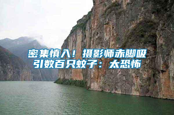 密集慎入！攝影師赤腳吸引數百只蚊子：太恐怖