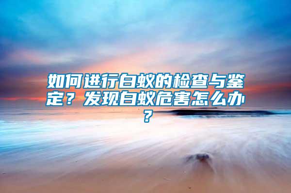 如何進行白蟻的檢查與鑒定?發現白蟻危害怎么辦?