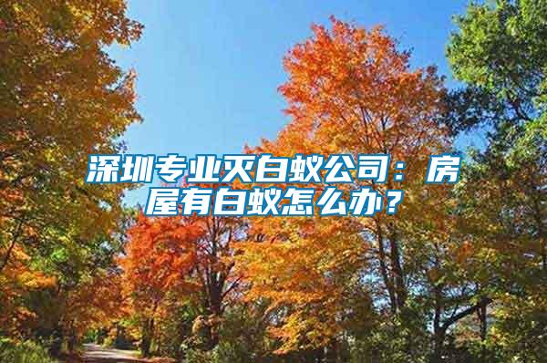 深圳專業滅白蟻公司:房屋有白蟻怎么辦?