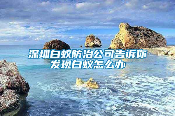 深圳白蟻防治公司告訴你發現白蟻怎么辦
