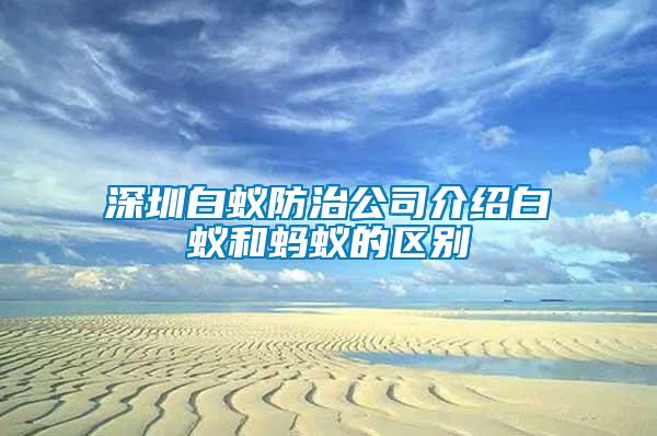 深圳白蟻防治公司介紹白蟻和螞蟻的區別
