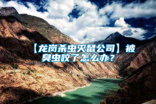【龍崗殺蟲滅鼠公司】被臭蟲咬了怎么辦？