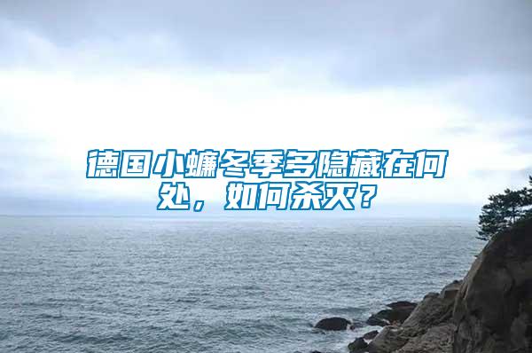 德國小蠊冬季多隱藏在何處,如何殺滅?