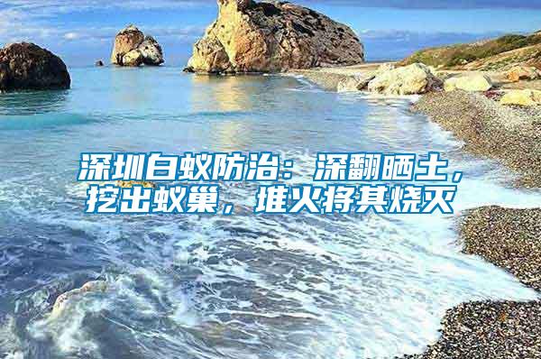 深圳白蟻防治：深翻曬土，挖出蟻巢，堆火將其燒滅