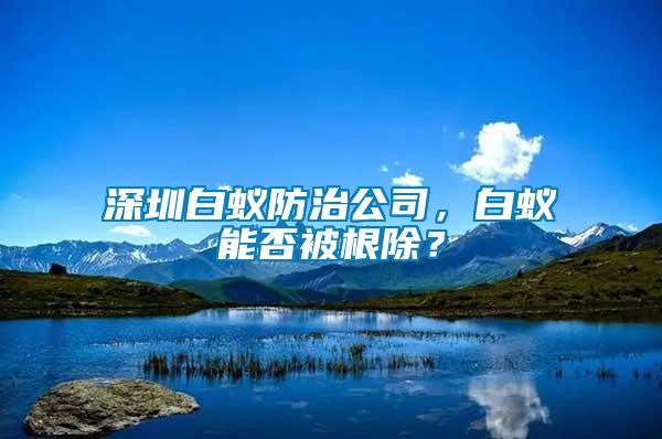 深圳白蟻防治公司,白蟻能否被根除?