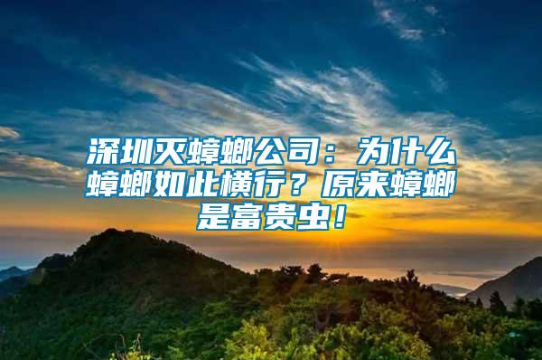 深圳滅蟑螂公司:為什么蟑螂如此橫行?原來蟑螂是富貴蟲!