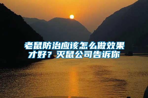老鼠防治應該怎么做效果才好?滅鼠公司告訴你