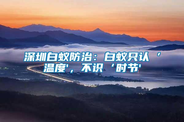 深圳白蟻防治：白蟻只認‘溫度'，不識‘時節'