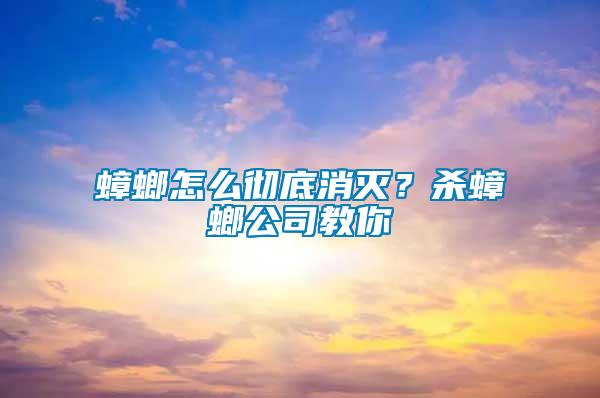 蟑螂怎么徹底消滅?殺蟑螂公司教你