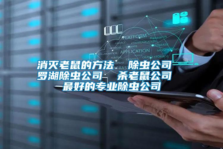 消滅老鼠的方法 除蟲公司 羅湖除蟲公司 殺老鼠公司 最好的專業除蟲公司