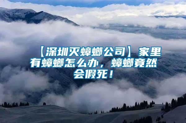 【深圳滅蟑螂公司】家里有蟑螂怎么辦,蟑螂竟然會假死!