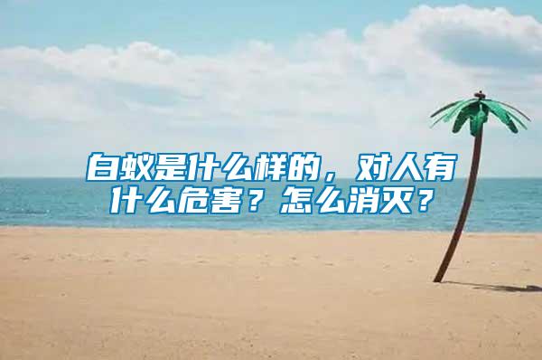 白蟻是什么樣的，對人有什么危害？怎么消滅？