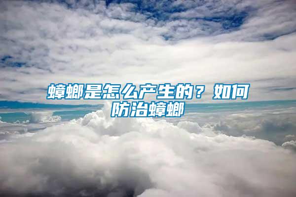 蟑螂是怎么產生的?如何防治蟑螂