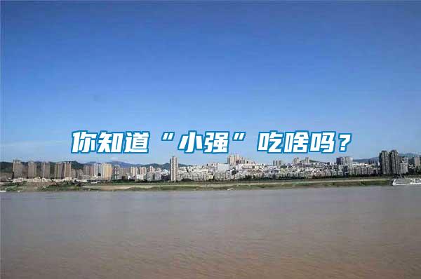 你知道“小強”吃啥嗎？