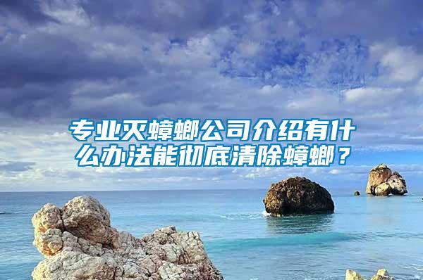 專業(yè)滅蟑螂公司介紹有什么辦法能徹底清除蟑螂?