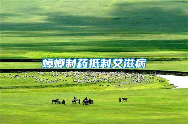 蟑螂制藥抵制艾滋病