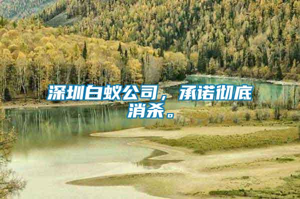 深圳白蟻公司,承諾徹底消殺。
