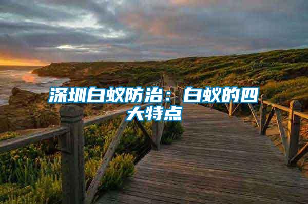 深圳白蟻防治:白蟻的四大特點