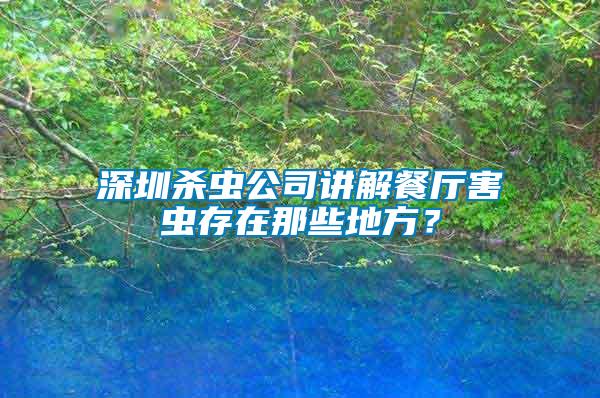 深圳殺蟲公司講解餐廳害蟲存在那些地方?
