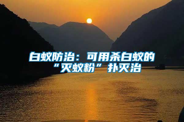 白蟻防治:可用殺白蟻的“滅蟻粉”撲滅治