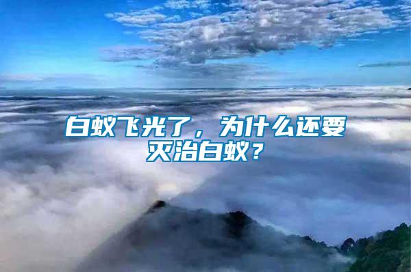 白蟻飛光了,為什么還要滅治白蟻?
