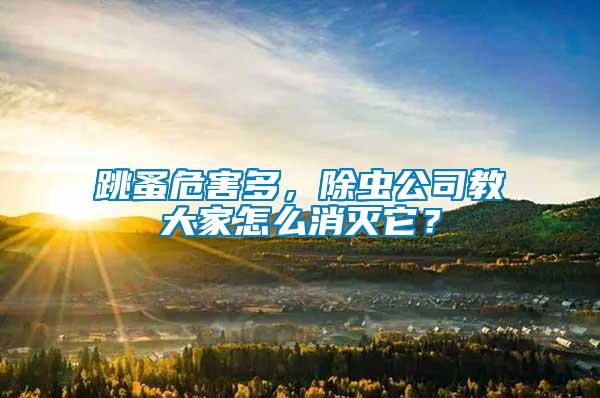 跳蚤危害多，除蟲公司教大家怎么消滅它？