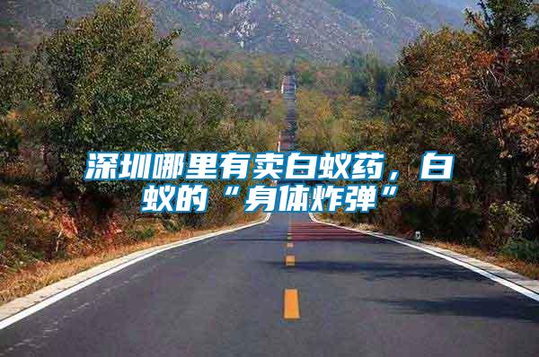 深圳哪里有賣白蟻藥，白蟻的“身體炸彈”