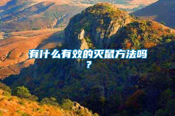 有什么有效的滅鼠方法嗎?