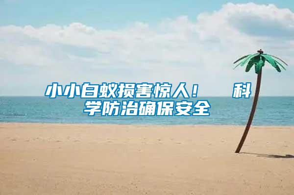 小小白蟻損害驚人！  科學防治確保安全