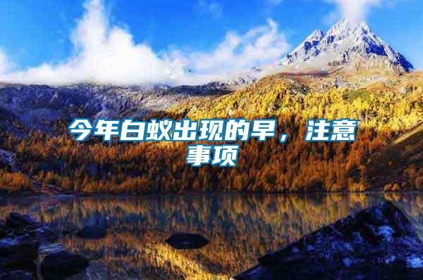 今年白蟻出現(xiàn)的早,注意事項