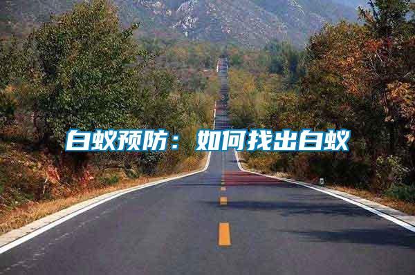 白蟻預(yù)防:如何找出白蟻