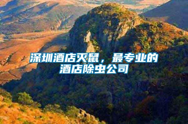 深圳酒店滅鼠，最專業(yè)的酒店除蟲公司