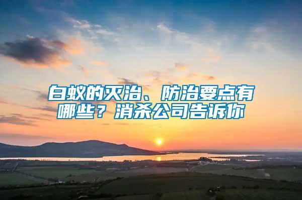 白蟻的滅治、防治要點有哪些？消殺公司告訴你