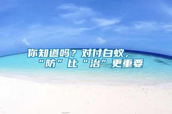 你知道嗎?對付白蟻,“防”比“治”更重要