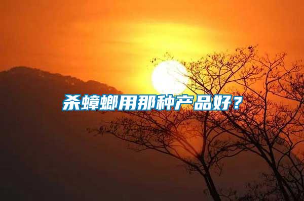 殺蟑螂用那種產品好?