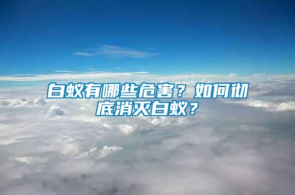 白蟻有哪些危害？如何徹底消滅白蟻？