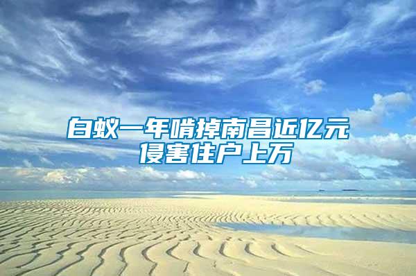白蟻一年啃掉南昌近億元 侵害住戶(hù)上萬(wàn)