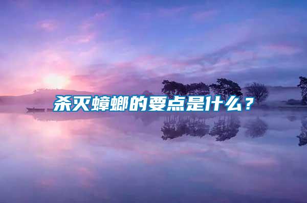 殺滅蟑螂的要點是什么?