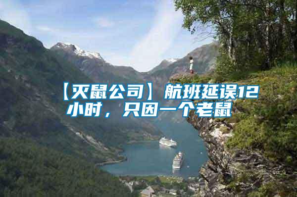 【滅鼠公司】航班延誤12小時,只因一個老鼠