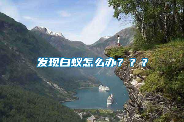 發(fā)現(xiàn)白蟻怎么辦？？？