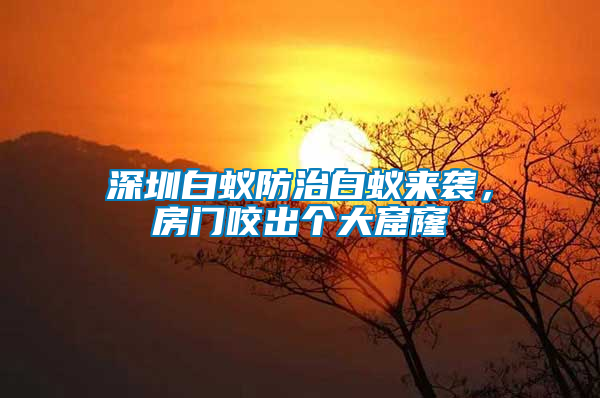 深圳白蟻防治白蟻來襲,房門咬出個大窟窿