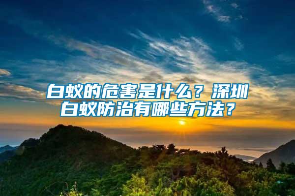 白蟻的危害是什么?深圳白蟻防治有哪些方法?