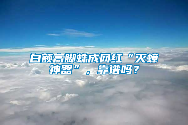 白額高腳蛛成網紅“滅蟑神器”，靠譜嗎？