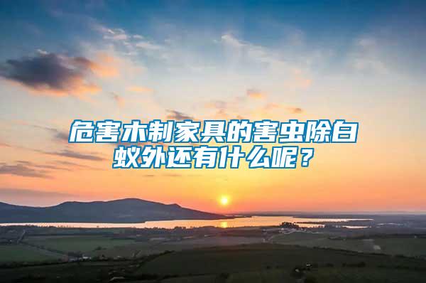 危害木制家具的害蟲除白蟻外還有什么呢?