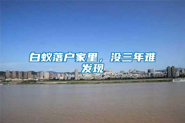 白蟻落戶家里,沒三年難發(fā)現(xiàn)