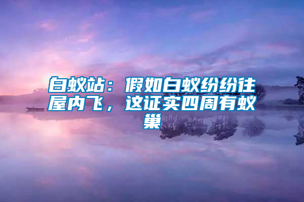 白蟻站:假如白蟻紛紛往屋內飛,這證實四周有蟻巢